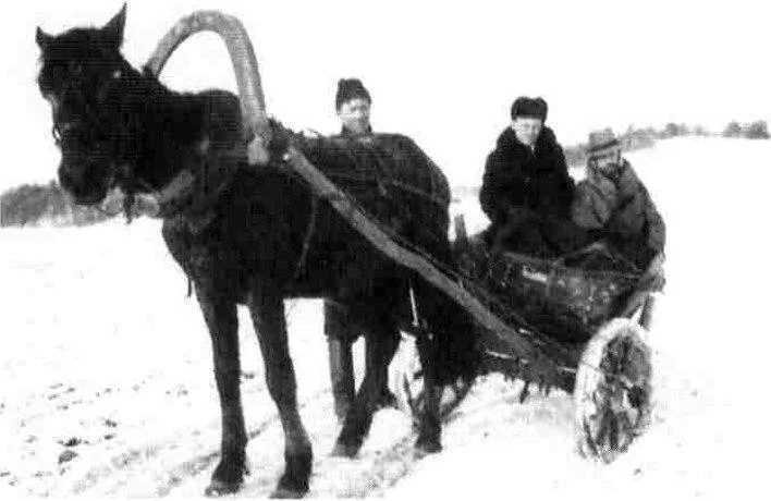 Говард Картер и Лестер Самралл в Польше. Дата съёмки не установлена.[65]